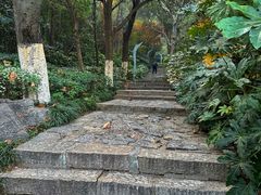 -云龙湖旅游景区