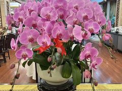 -顺峰·粤菜海鲜·早茶自助(阜成店)