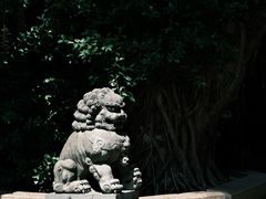 -叩齿古寺