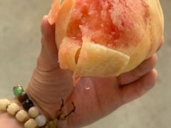 -老袁家蜜桃农场·阳山水蜜桃