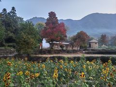 -塔川景区