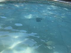 -碧水湾温泉