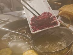 -食潮汕头鲜牛馆(望京保利店)