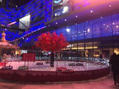 -万达影城(佳木斯万达广场IMAX店)