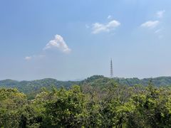-天鹿湖森林公园