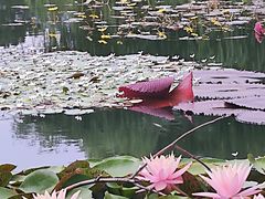 -国家植物园南园