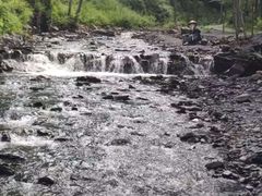 -凤凰山国家森林公园