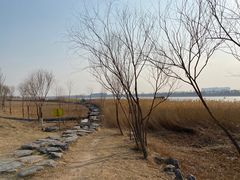 -绿堤公园