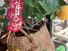 -seeu coffee(江滩店)