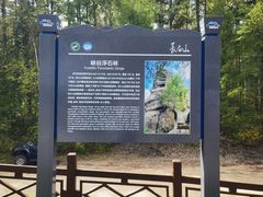 -峡谷浮石林景区