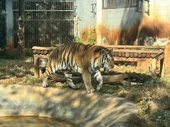 -昆明动物园