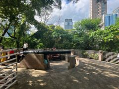 -九龙公园