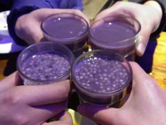 -令狐冲·活鱼馆(宝龙店)