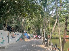 -西双版纳原始森林公园