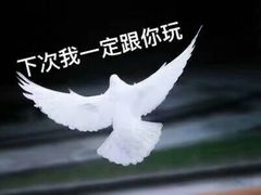 -星都会KTV(润政广场店)