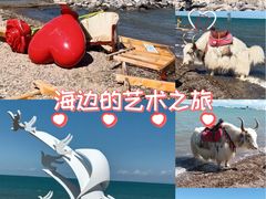 -青海湖国家重点风景名胜区