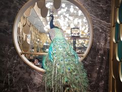 大堂-雀蓝川菜(奥体广场店)