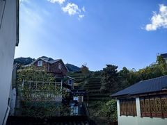 -阿巧茶庄