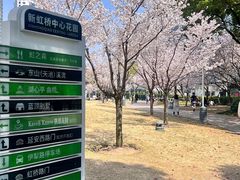 -新虹桥中心花园