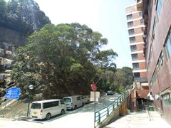 -香港大学