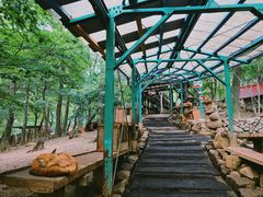 -宫城藏王狐狸村