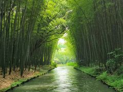 -同里国家湿地公园