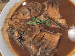 -邵年鸽(杨庄店)