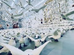 -上海宝龙美术馆