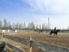 -北京群众马术培训基地