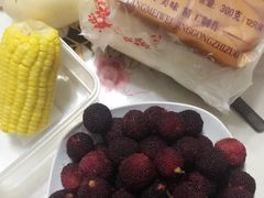 -西山樟坞健康果园枇杷杨梅采摘