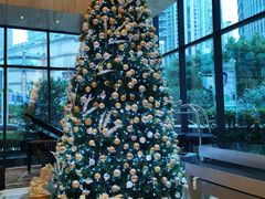 -上海龙之梦万丽酒店