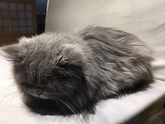 -小时光咖啡馆(开森度假森林店)