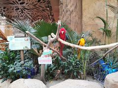 -杭州开元森泊度假乐园