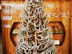 -北京鹿世界主题园