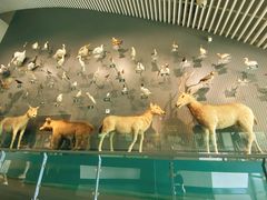 -中国湿地博物馆