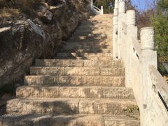-象山森林公园