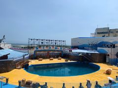 -海合安青岛极地海洋公园