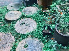 -谷咖啡·鲜花绿植花园餐厅