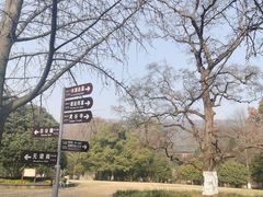 -灵谷景区