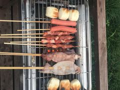 -崇明东平国家森林公园烧烤房车露营地