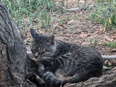 -杭州半山国家森林公园