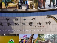 -中国西峡恐龙遗迹园