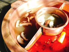 菌王胡辣鸳鸯锅-滇釜火锅·能喝汤的火锅(车公庄店)