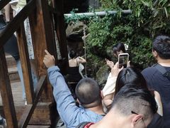 -长谷洞天