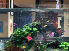 -阿莉餐厅(枣阳路店)