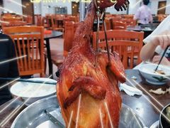 -华仔土鸡店(创意产业园店)