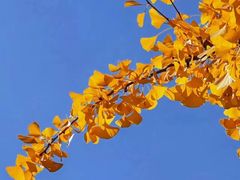 -崇圣寺三塔文化旅游区