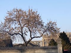 -张学良旧居陈列馆(大帅府)