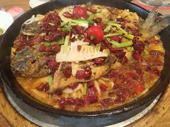 -老板恋上鱼(恒隆广场店)