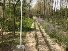 -合肥滨湖国家森林公园